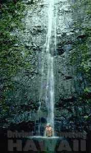 Manoa Falls - Courtesy of Richard Sullivan - CLICK for Website